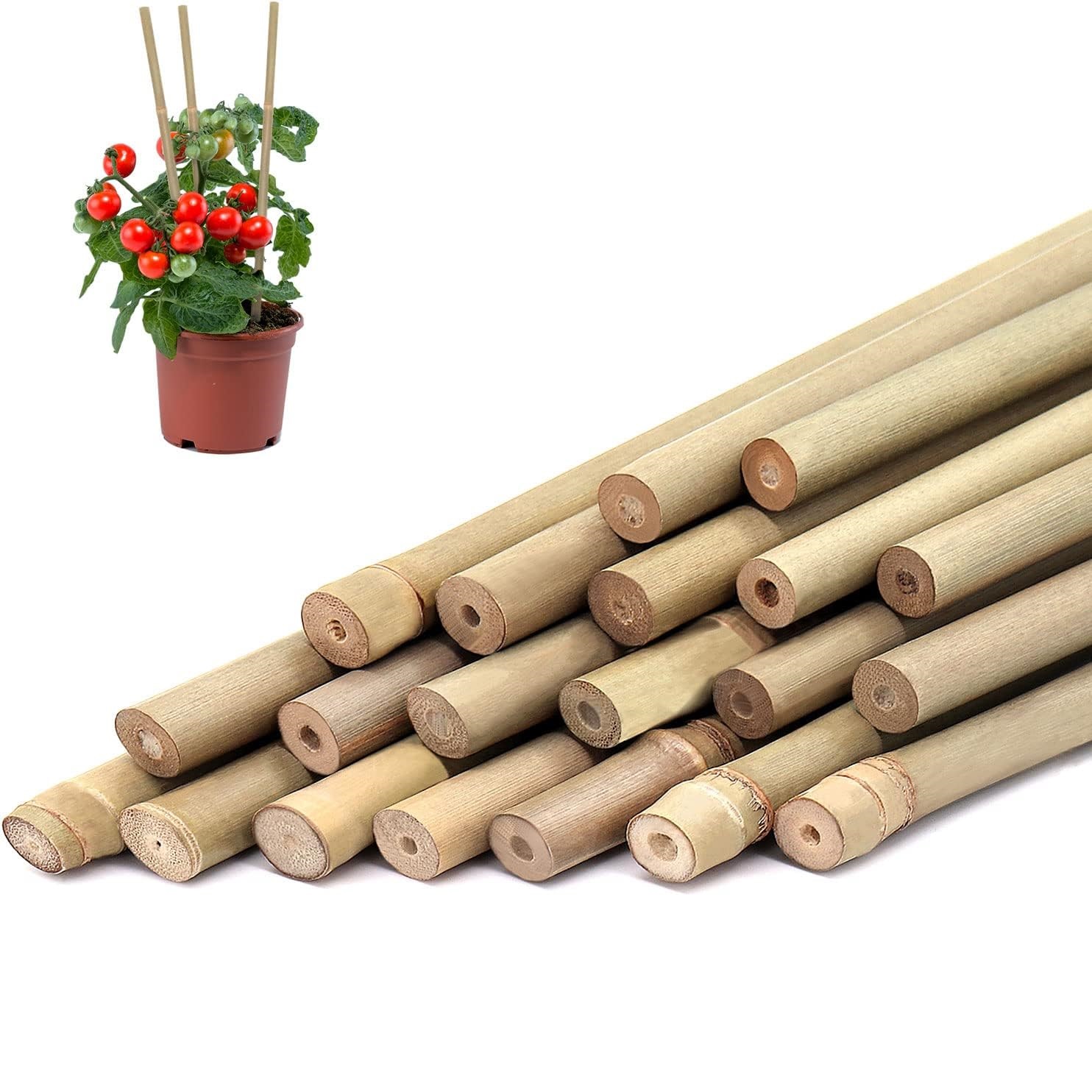 Plant Support Stake - 10 sztuk, bambusowe paliki do roślin