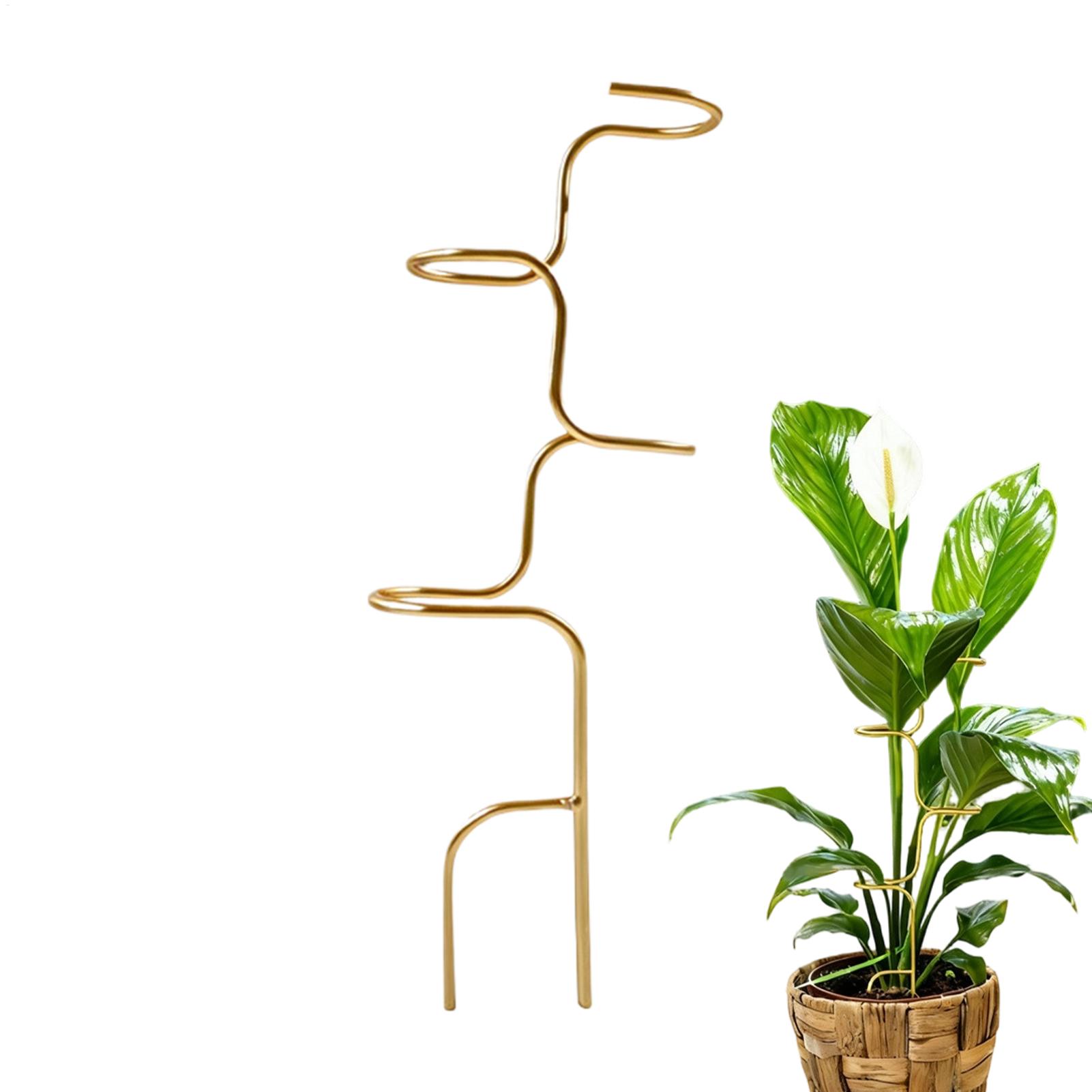 Plant Support Stake - Rama podporowa do mocowania łodyg roślin