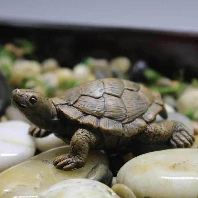 Symulacja żywicy mały żółw rze – Succulent Set recenzja i cena