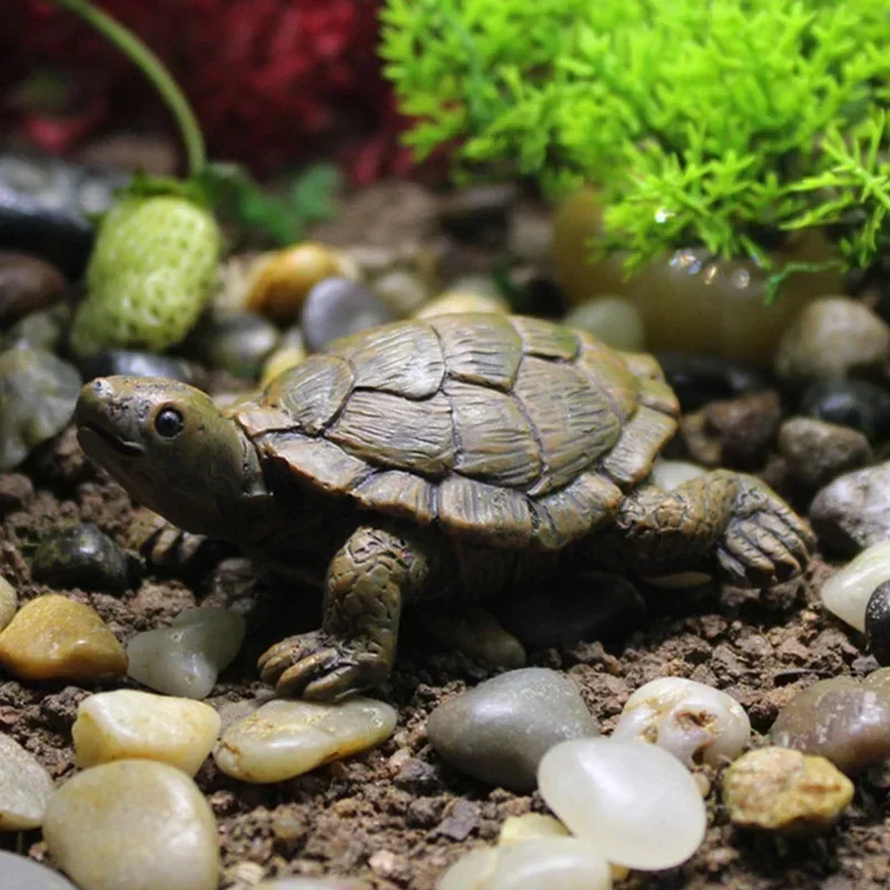 Symulacja żywicy mały żółw rze – Succulent Set recenzja i cena