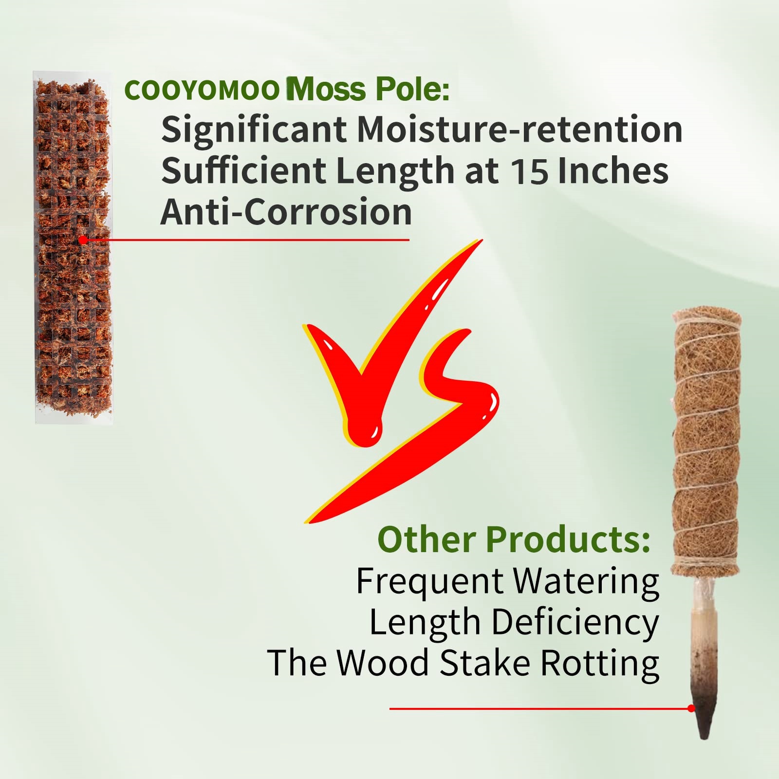 Moss Poles Plants Plant Suppor – Plant Support Stake recenzja i cena
