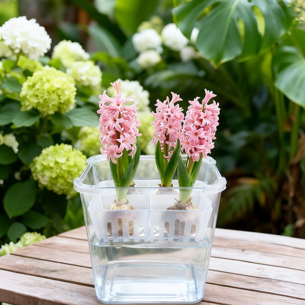 Wazon do uprawy tulipanów i li – Indoor Plants recenzja i cena