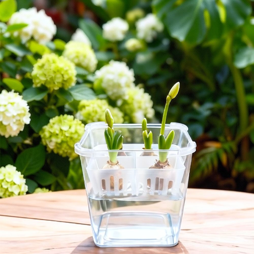 Wazon do uprawy tulipanów i li – Indoor Plants recenzja i cena