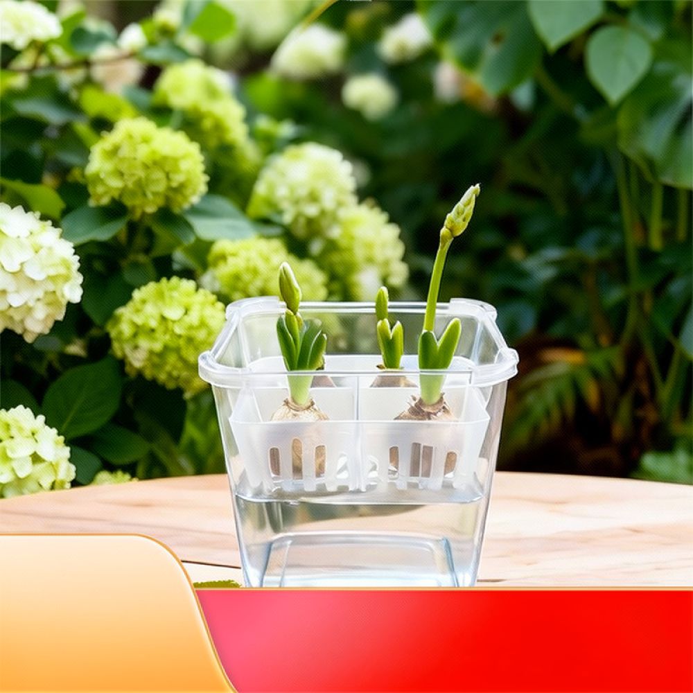 Wazon do uprawy tulipanów i li – Indoor Plants recenzja i cena