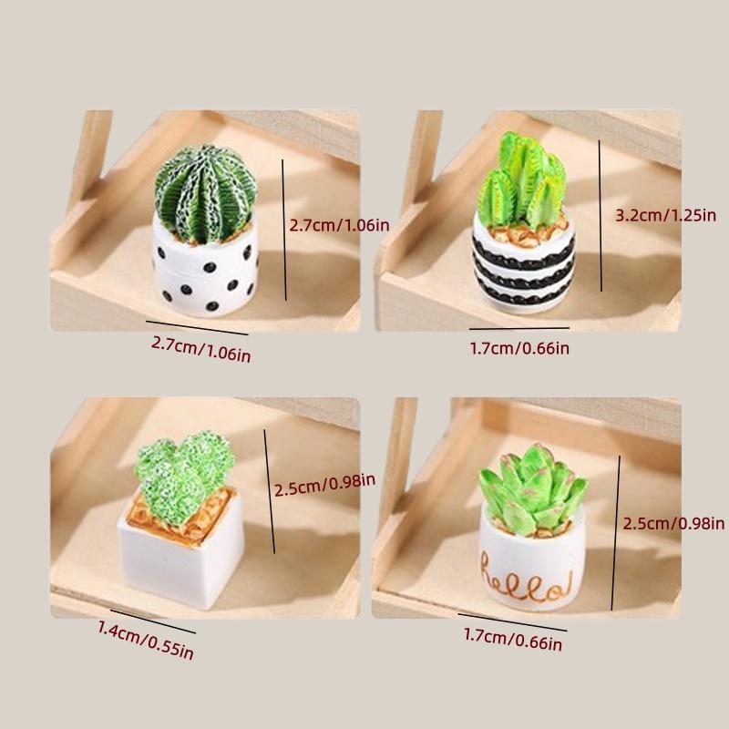 4-częściowy zestaw sukulentów  – Succulent Set recenzja i cena