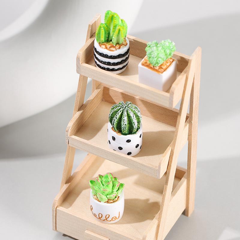 4-częściowy zestaw sukulentów  – Succulent Set recenzja i cena