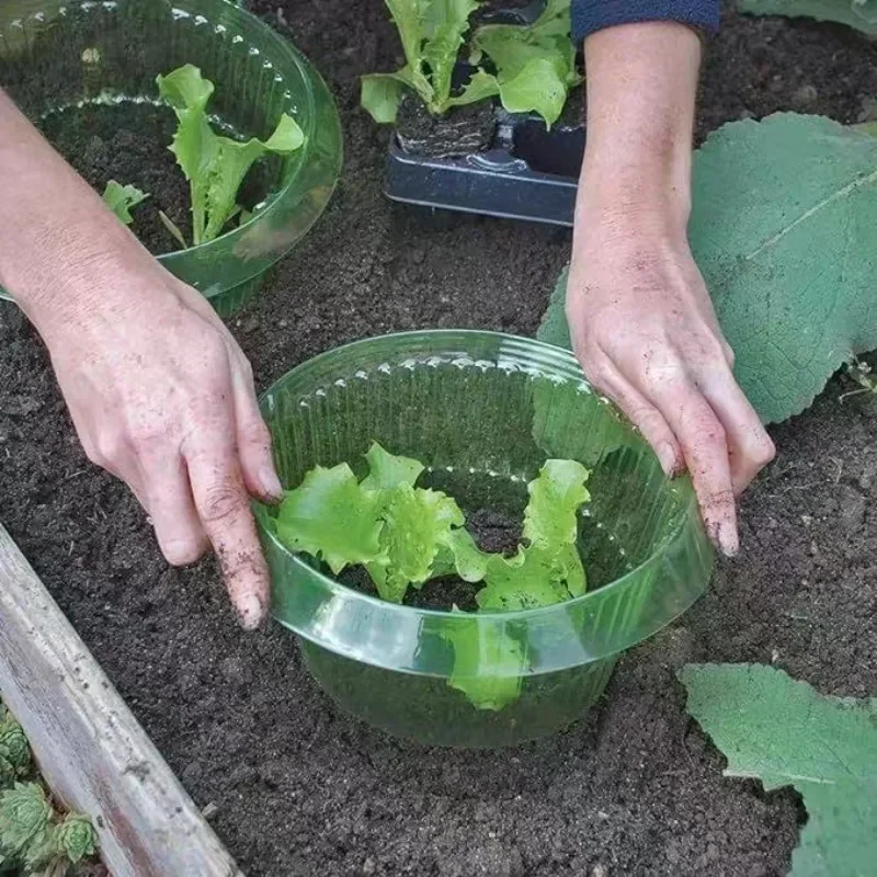 Ochrona roślin przed ślimakami – Terracotta Pot recenzja i cena