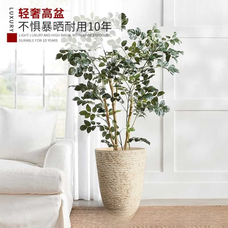 Duży, europejski, żywiczny don – Fiddle Leaf Fig recenzja i cena